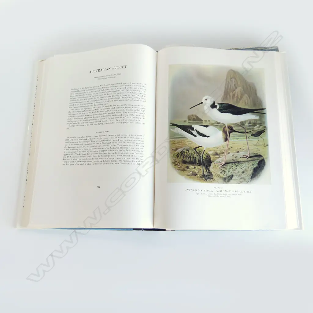 BULLERS BIRDS OF NEW ZEALAND, 1967 IN SLIP CASE H.380mm Image 1++