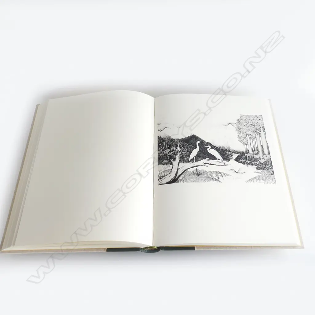 LG CASED BOOK; THE ART OF REI HAMON - COLLINS 1980 ED. OF 600 530x400mm Image 1++