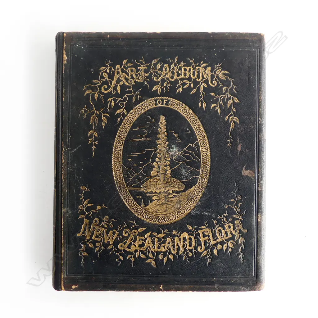 The Art Album of New Zealand Flora by Mr and Mrs E.H.Featon Image 1++