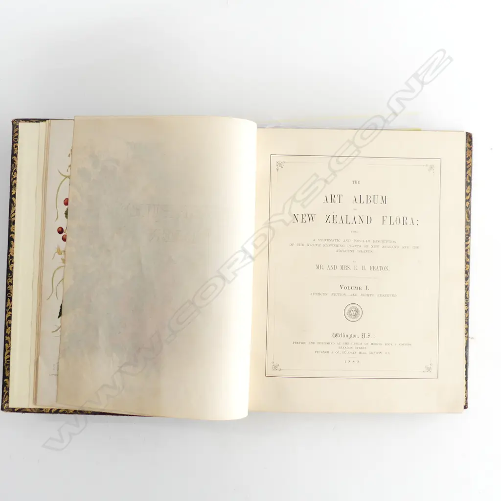 The Art Album of New Zealand Flora by Mr and Mrs E.H.Featon Image 1++