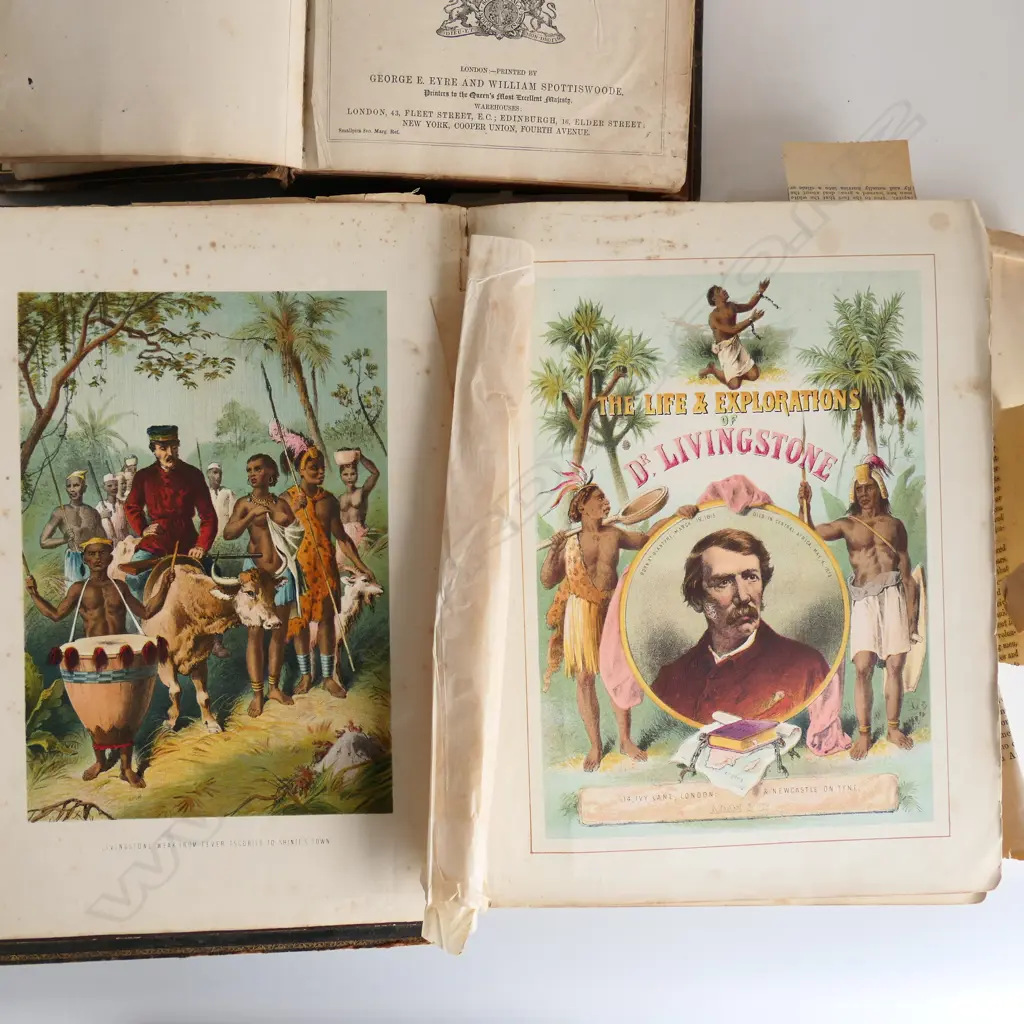 3 ANTIQUE BOOKS: 2 BIBLES + LIFE & EXPLORATIONS OF DR. LIVINGSTONE H.310mm Image 1++