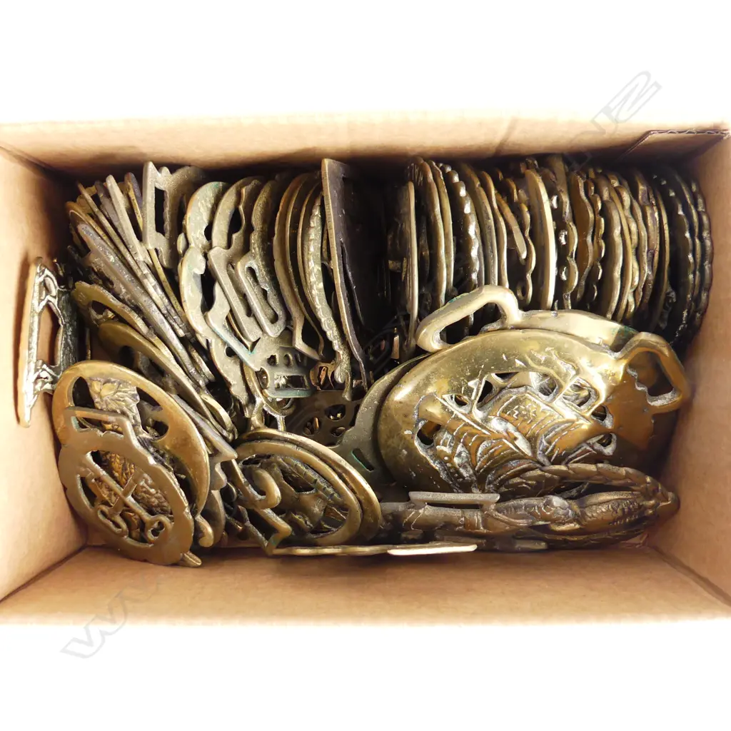BOX LOT HORSE BRASSES Image 1++