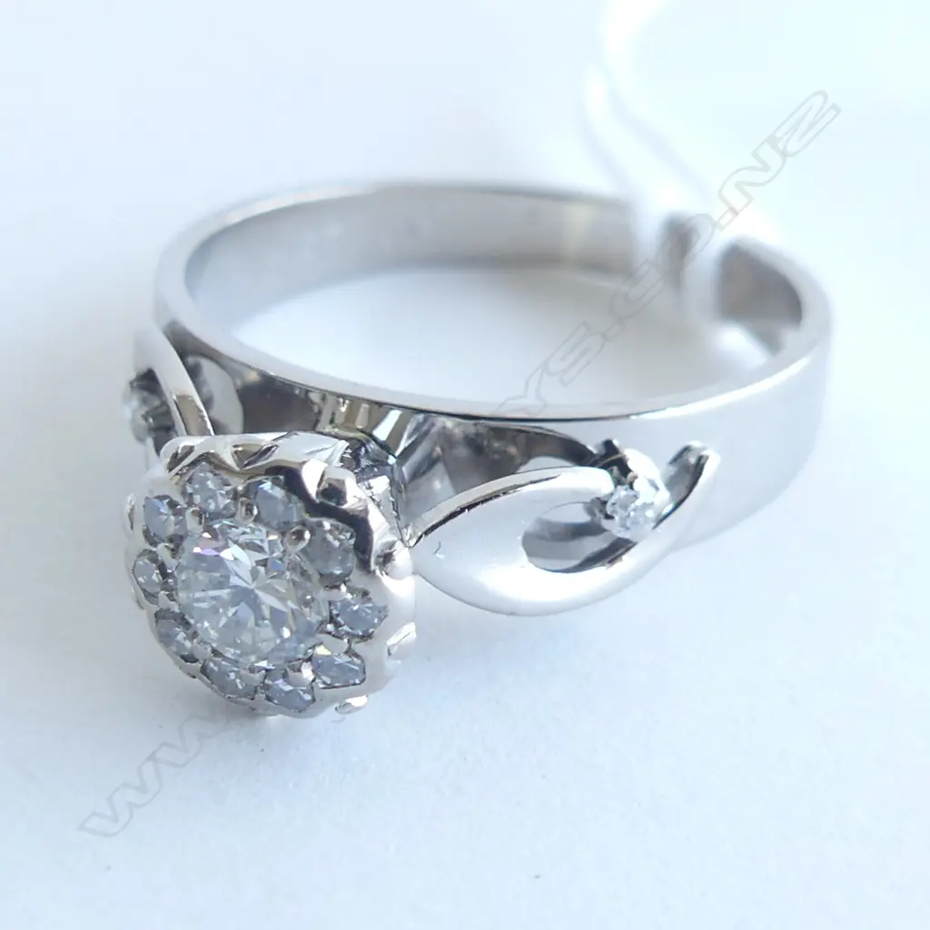 18CT WHITE GOLD & .27CT DIAMOND CLUSTER RING 5GMS Image 1++