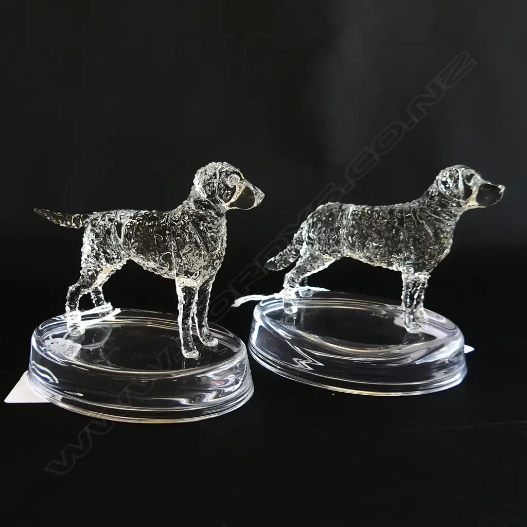 2 RETRIEVER GLASS STATUETTES; CURLY COATED & CHESAPEAKE BAY - SIGNED & DATED 'NEIL HARRIS 2016' Image 1++