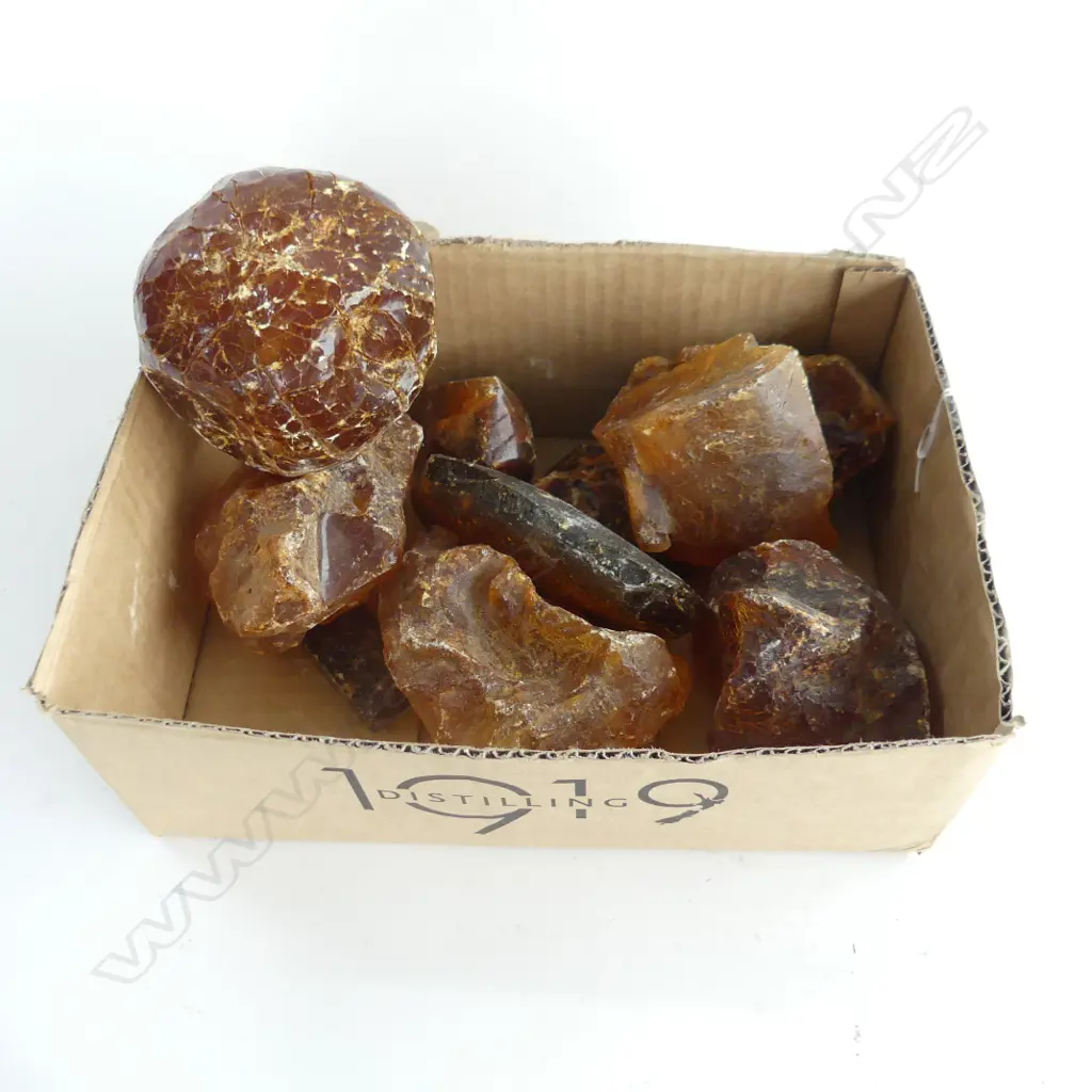 BOX ASST KAURI GUM PIECES 2.14 KG Image 1++