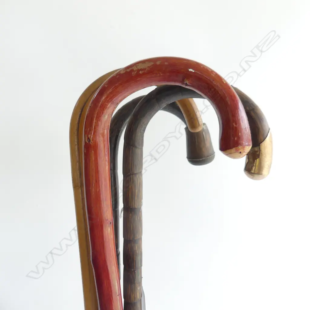 4 WALKINGSTICKS 1 WITH 9CT GOLD CAP Image 1++