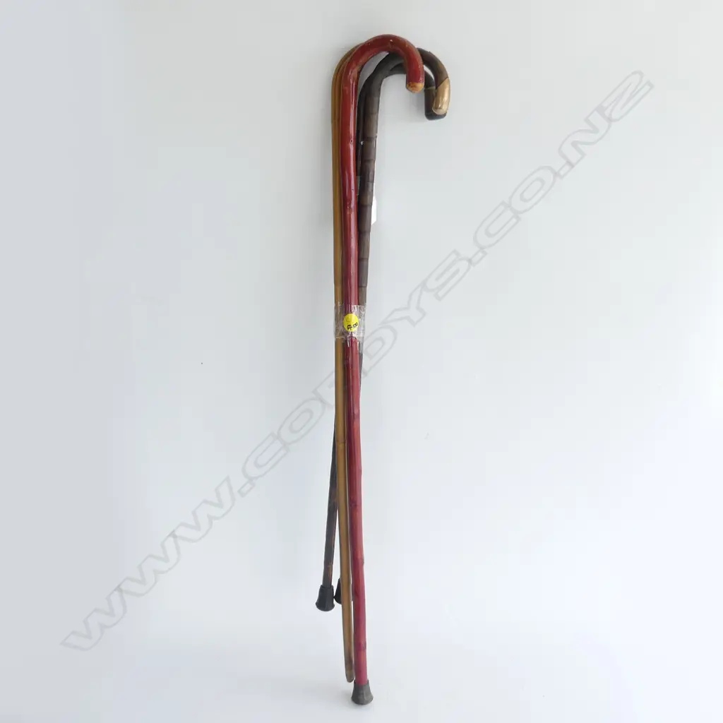 4 WALKINGSTICKS 1 WITH 9CT GOLD CAP Image 1++