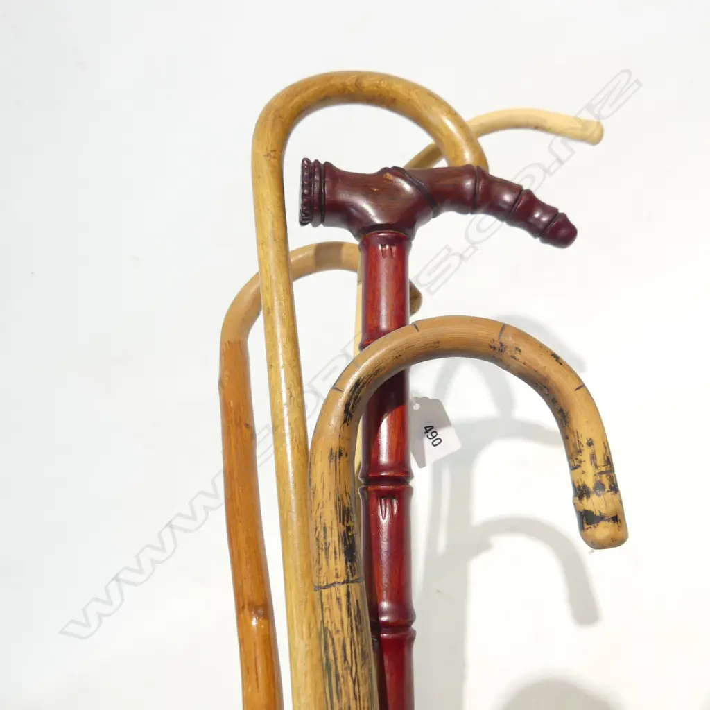 5 ASST WALKING STICKS Image 1++