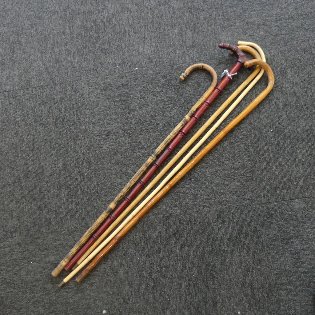 5 ASST WALKING STICKS Image 1++