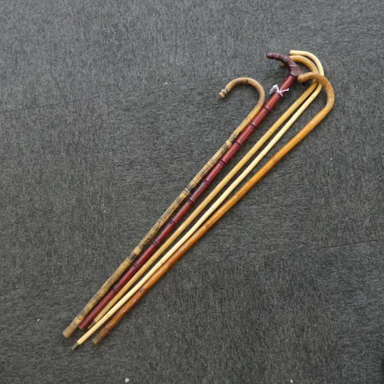 5 ASST WALKING STICKS