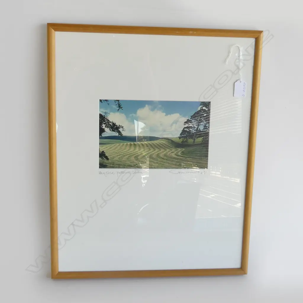 JOHN WILCOX COLOURED PHOTOGRAPH 'HAY FIELD PATTERNS DEVON' signed & entitled 140x225mm Image 1++