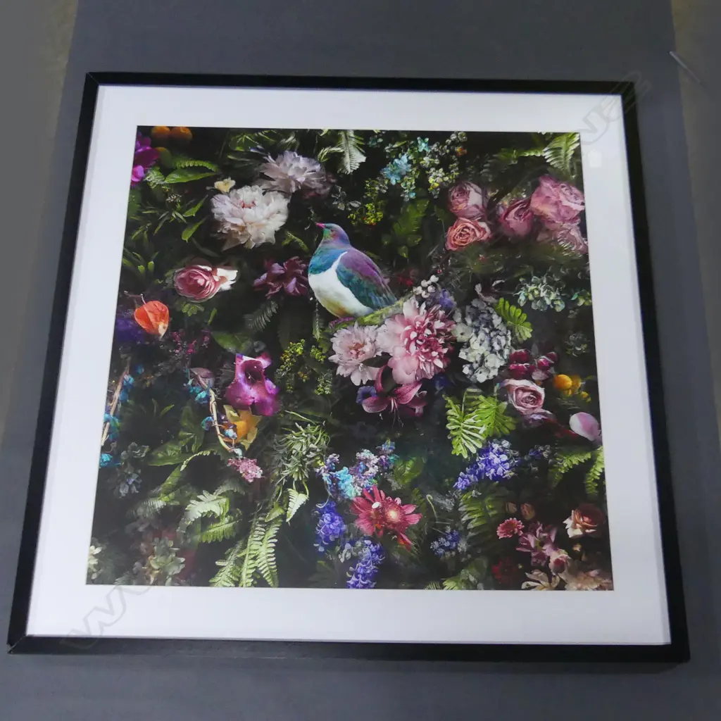 FRAMED PRINT OF A KERERU 800 MM SQ Image 1++