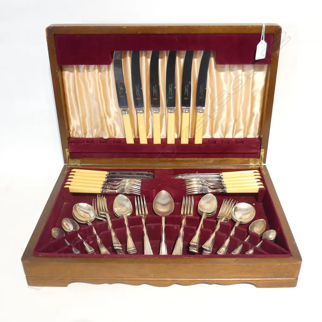 VINTAGE CUTLERY CANTEEN w. IVORINE 'BONE' HANDLED KNIVES Image 1++