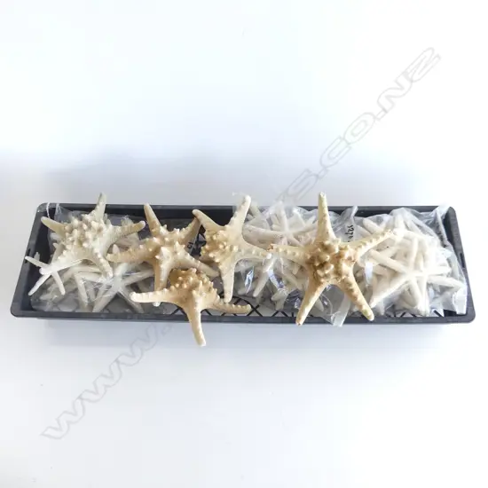 TRAY ASST. DRIED STARFISH