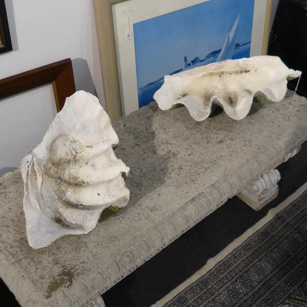 PR OF GIANT CLAM SHELLS 520MM ACROSS Image 1++
