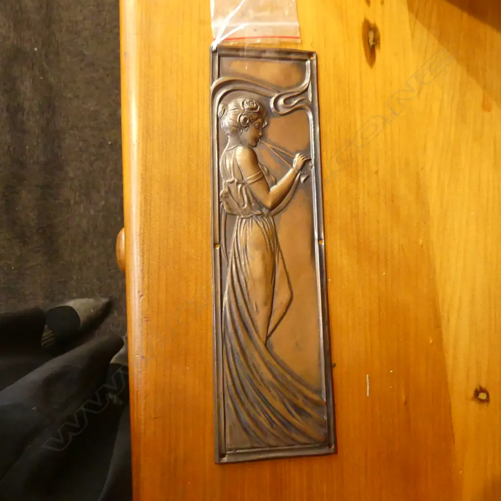 ART NOUVEAU COPPER DOOR PLATE 275x80mm Image 1++