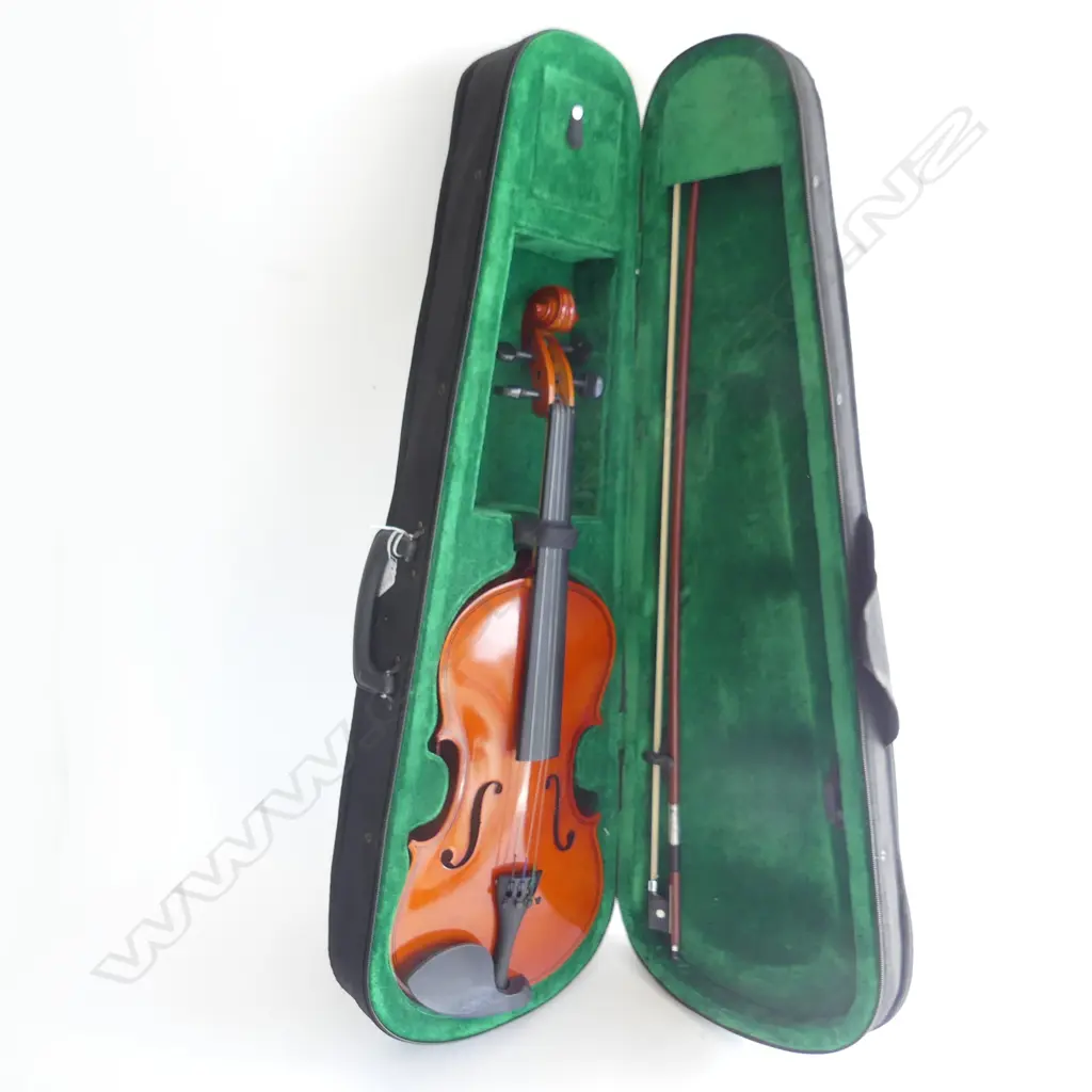 VIOLIN, CASED Image 1++