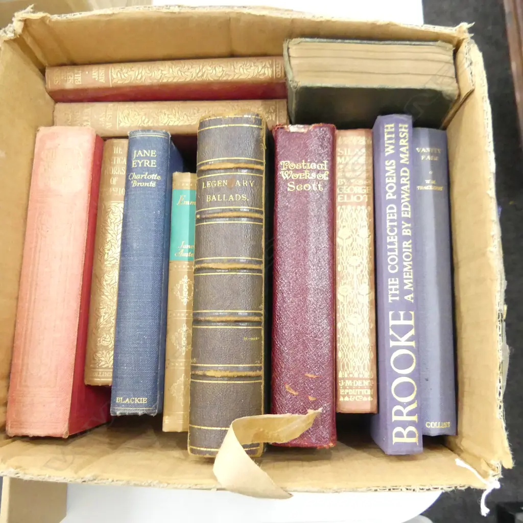 BOX LOT VINTAGE CLASSIC NOVELS ETC Image 1++