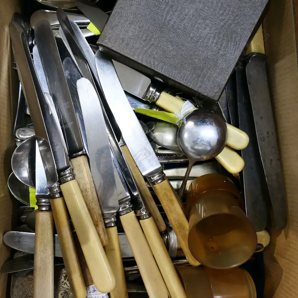 BOX LOT ASST. CUTLERY INCL. IVORINE 'BONE' HANDLED KNIVES ETC Image 1++