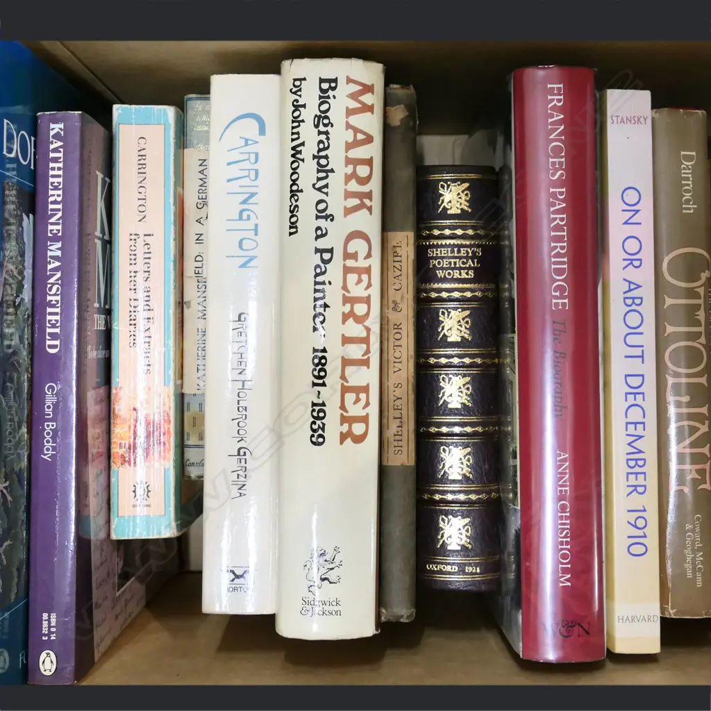 BOX LOT BOOKS; KATHERINE MANSFIELD / BLOOMSBURY / CARRINGTON ETC Image 1++