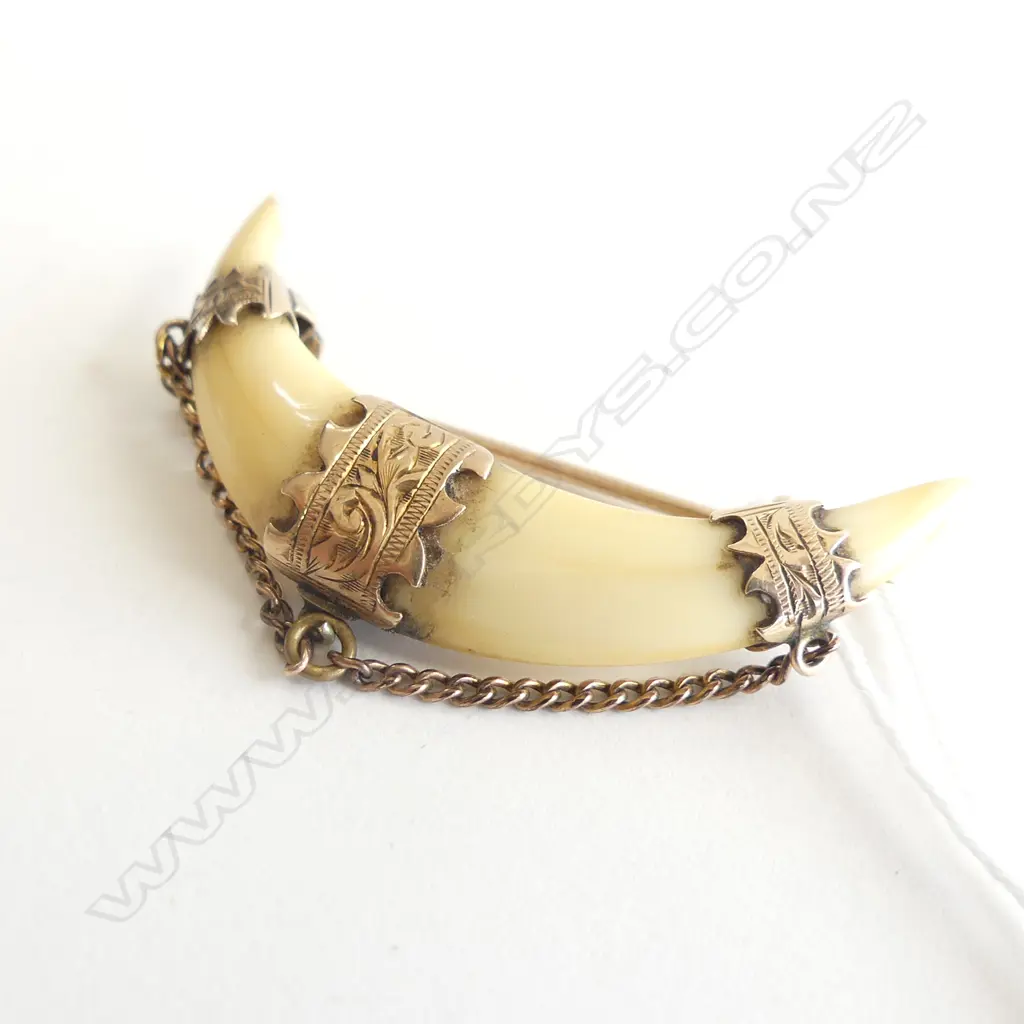 9CT GOLD SET TUSK BROOCH (A/F) Image 1++