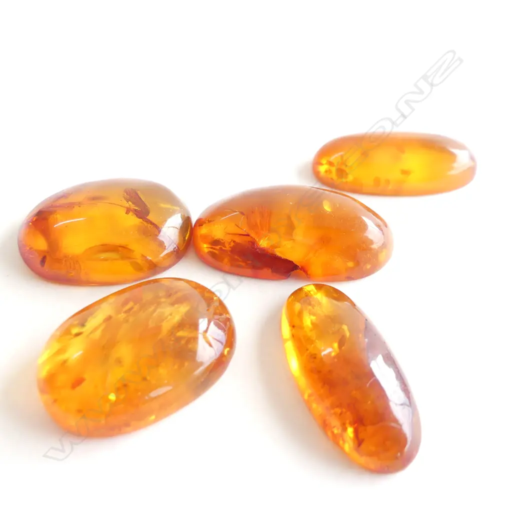 5 NATURAL BALTIC AMBER CABOCHONS Image 1++
