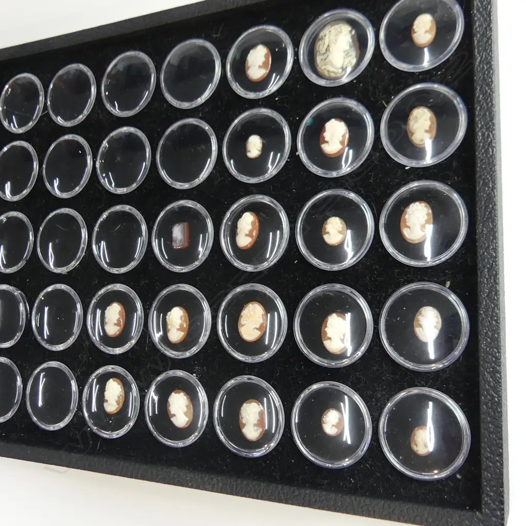 20 ASST CAMEOS IN DISPLAY CASE Image 1++