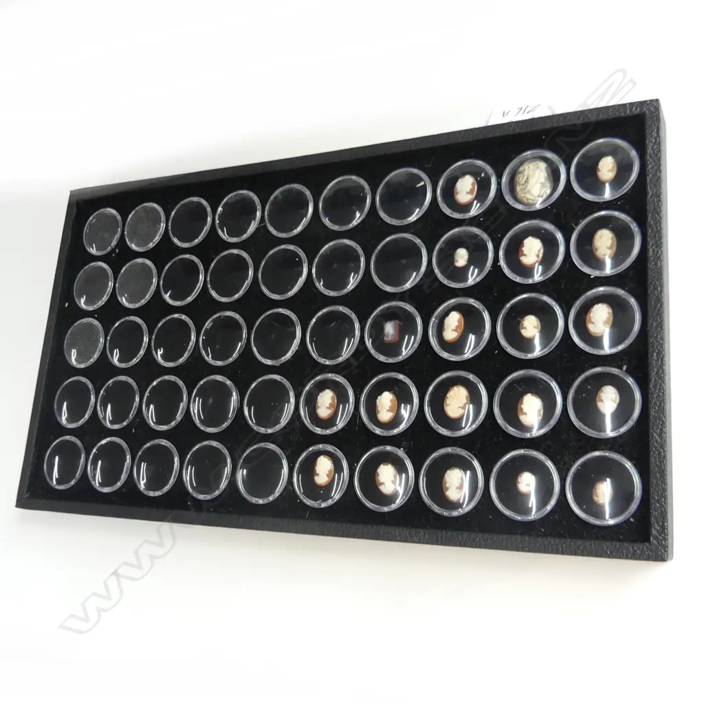 20 ASST CAMEOS IN DISPLAY CASE Image 1++