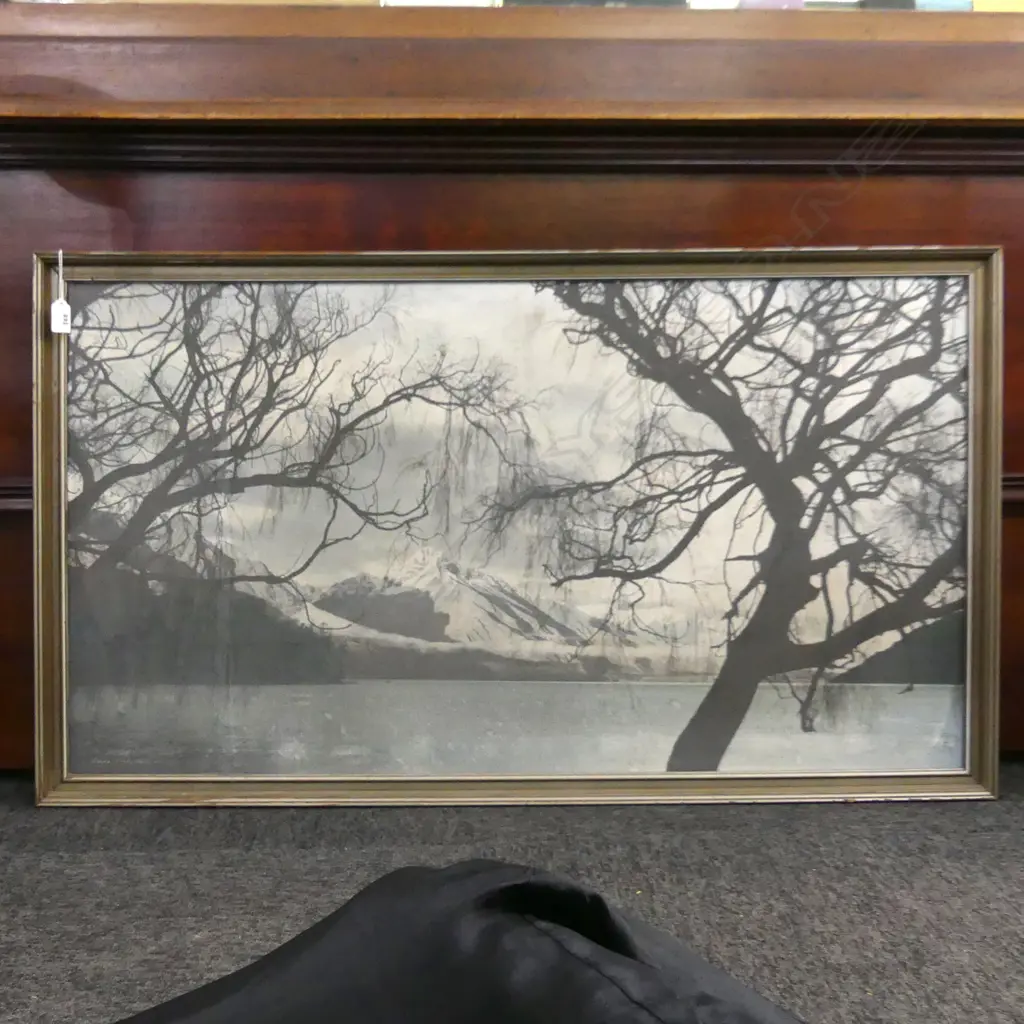 LGE WHITES AVIATION PRINT 'LAKE WAKATIPU N.Z.' 550x1000mm Image 1++