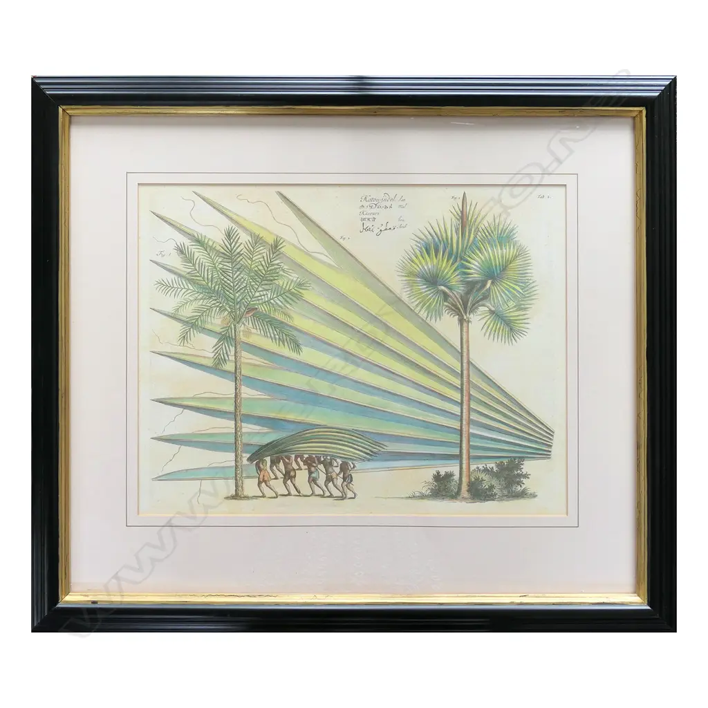 PR REPRODUCTION COLOURED ILLUSTRATION 'HORTUS INDICUS MALABARICUS' 1673-1693 BY HENDRIK VAN RHEEDE, 355 x 460mm Image 1++