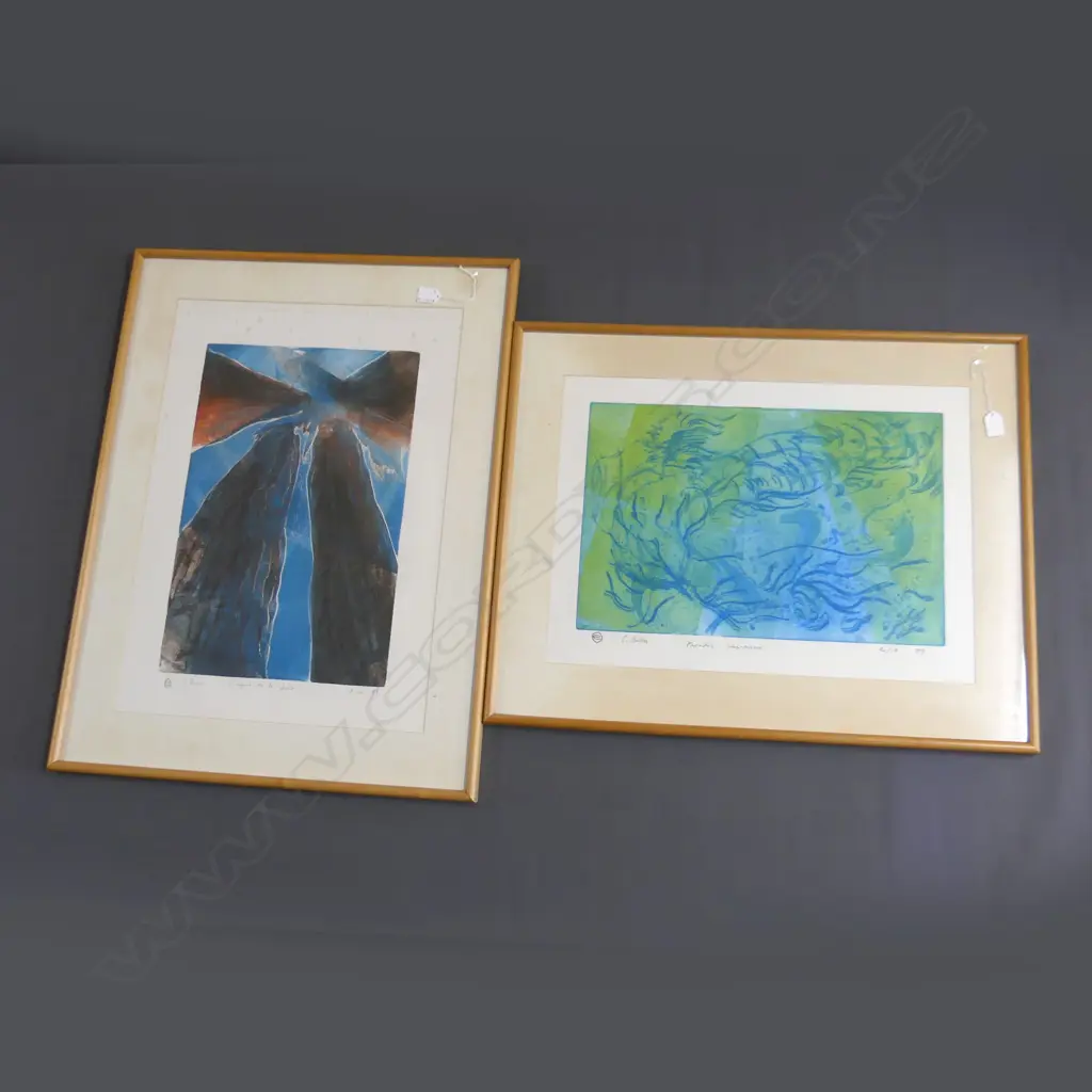 2 C.BALTON, FRAMED LTD EDITION PRINTS, ' PARADIS'  &  L'ESPRIT DE LA FOVER' 330 X 500MM Image 1++