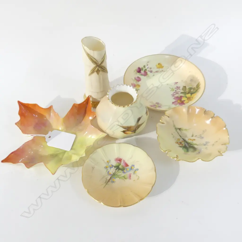 6 PCES ROYAL WORCESTER; BLUSH ETC Image 1++