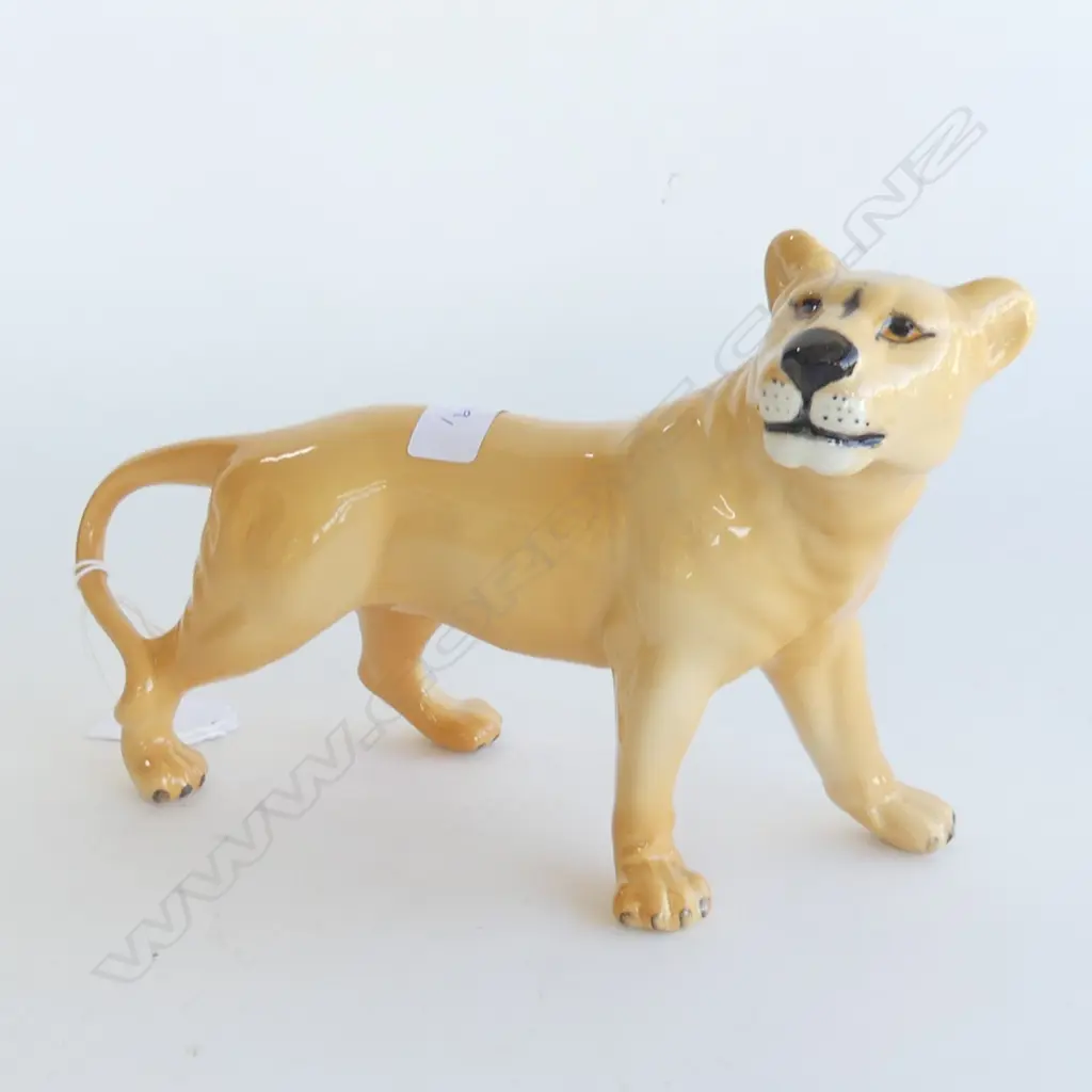 BESWICK LIONESS L.230mm Image 1++