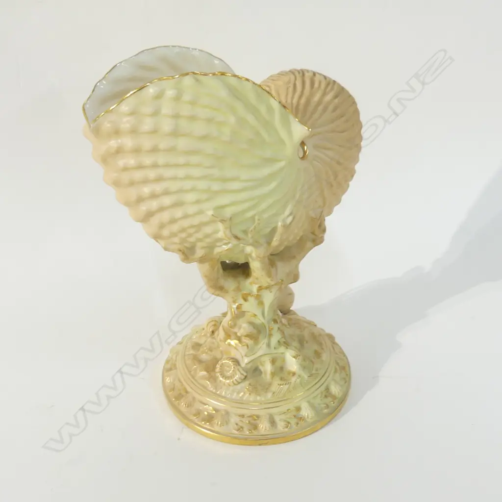 ROYAL WORCESTER BLUSH NAUTILUS SHELL H.200mm Image 1++