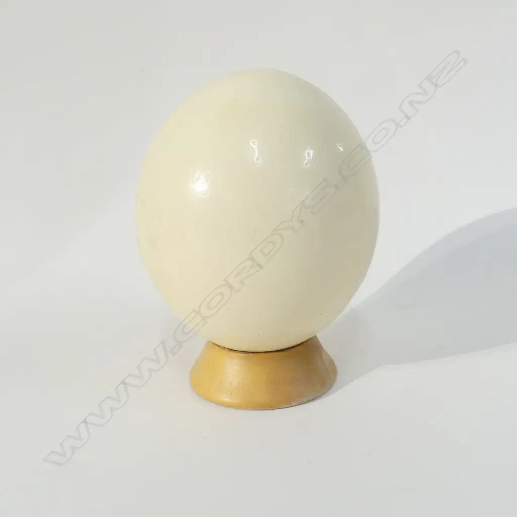 OSTRICH EGG WITH WOODEN STAND  Image 1++