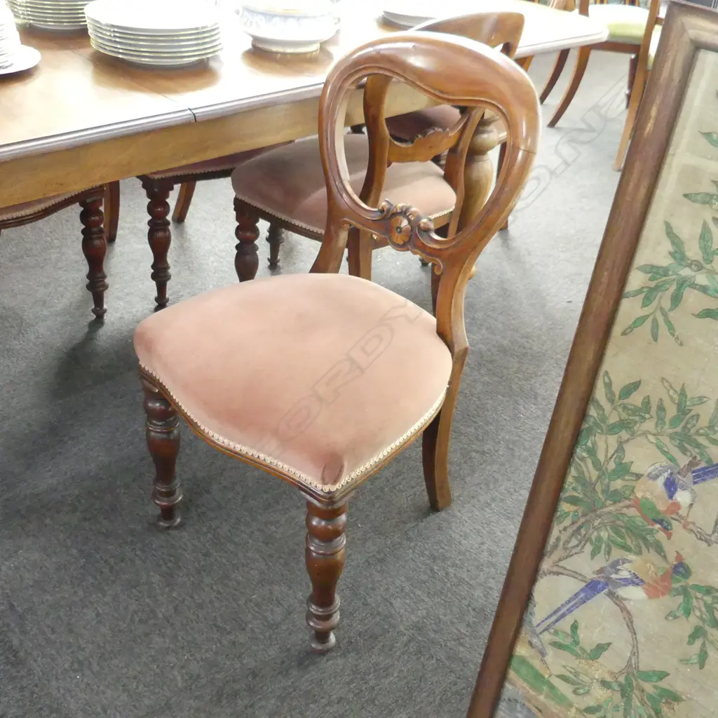 6 VICTORIAN BALLOON BACK DINING CHAIRS; DUSKY PINK UPHOLSTERY Image 1++