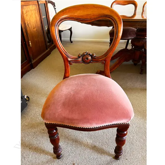 6 VICTORIAN BALLOON BACK DINING CHAIRS; DUSKY PINK UPHOLSTERY