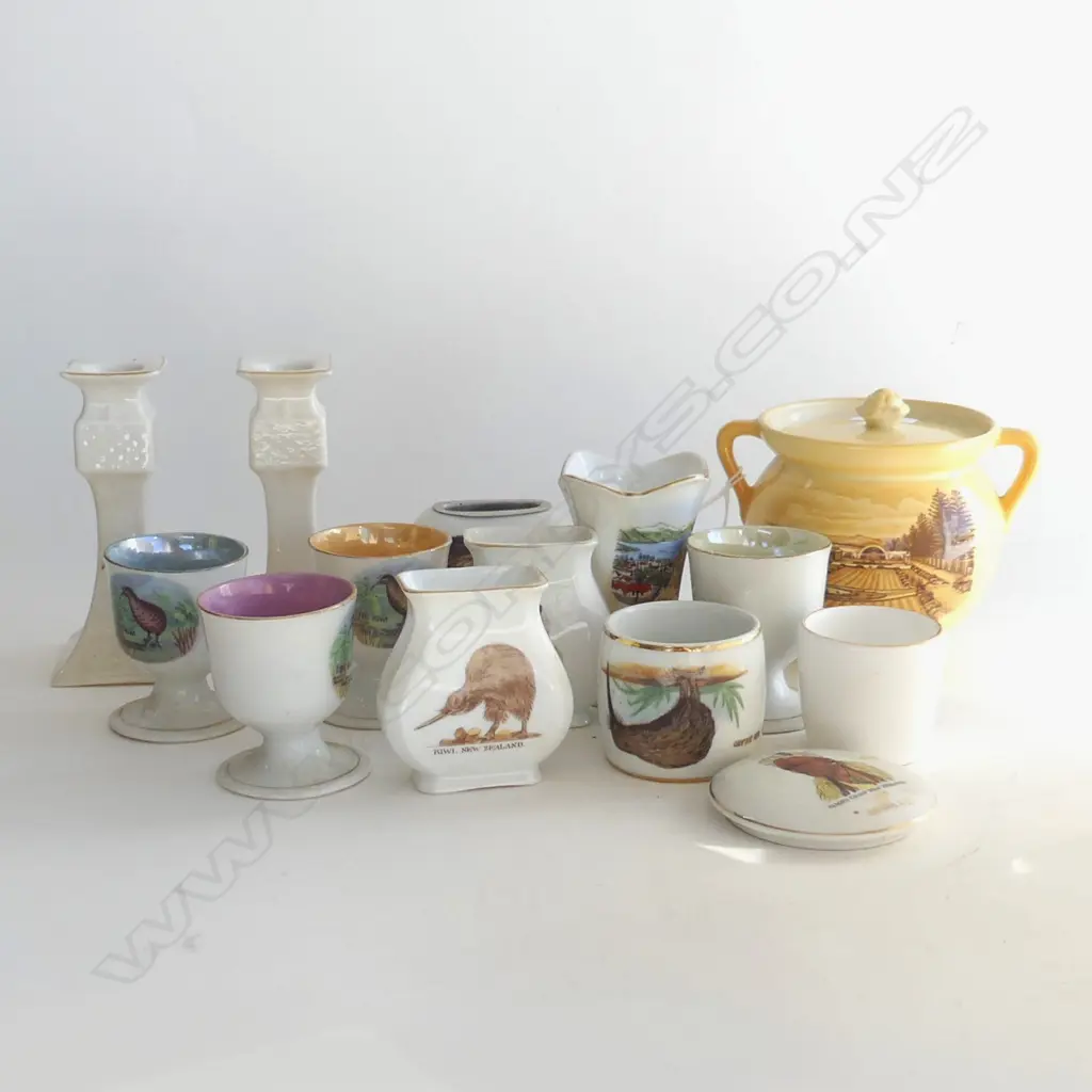 14 PCES NZ / KIWI COMMEMORATIVE SOUVENIR CHINA Image 1++