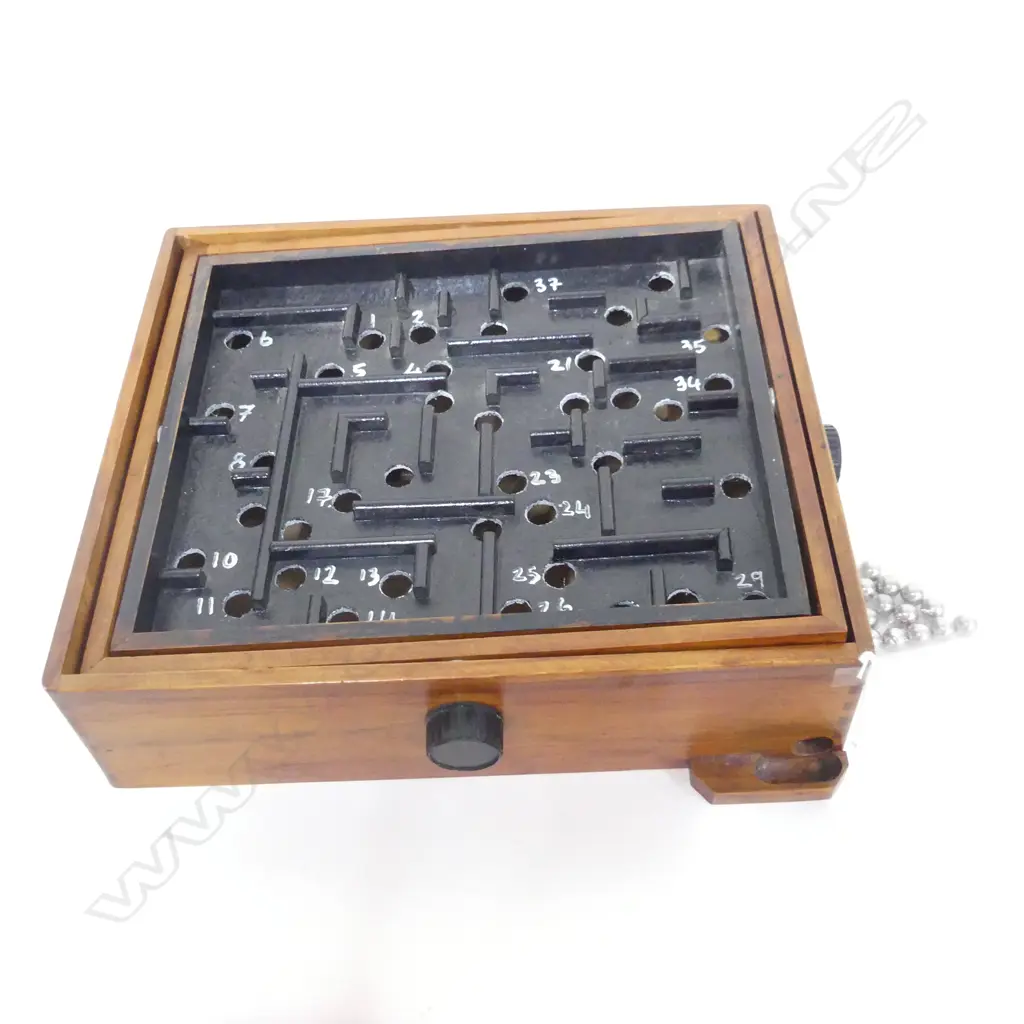 ROLLER BALL GAME 335x290mm Image 1++