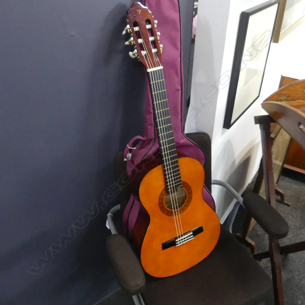 3/4 GUITAR WITH CARRY CASE Image 1++