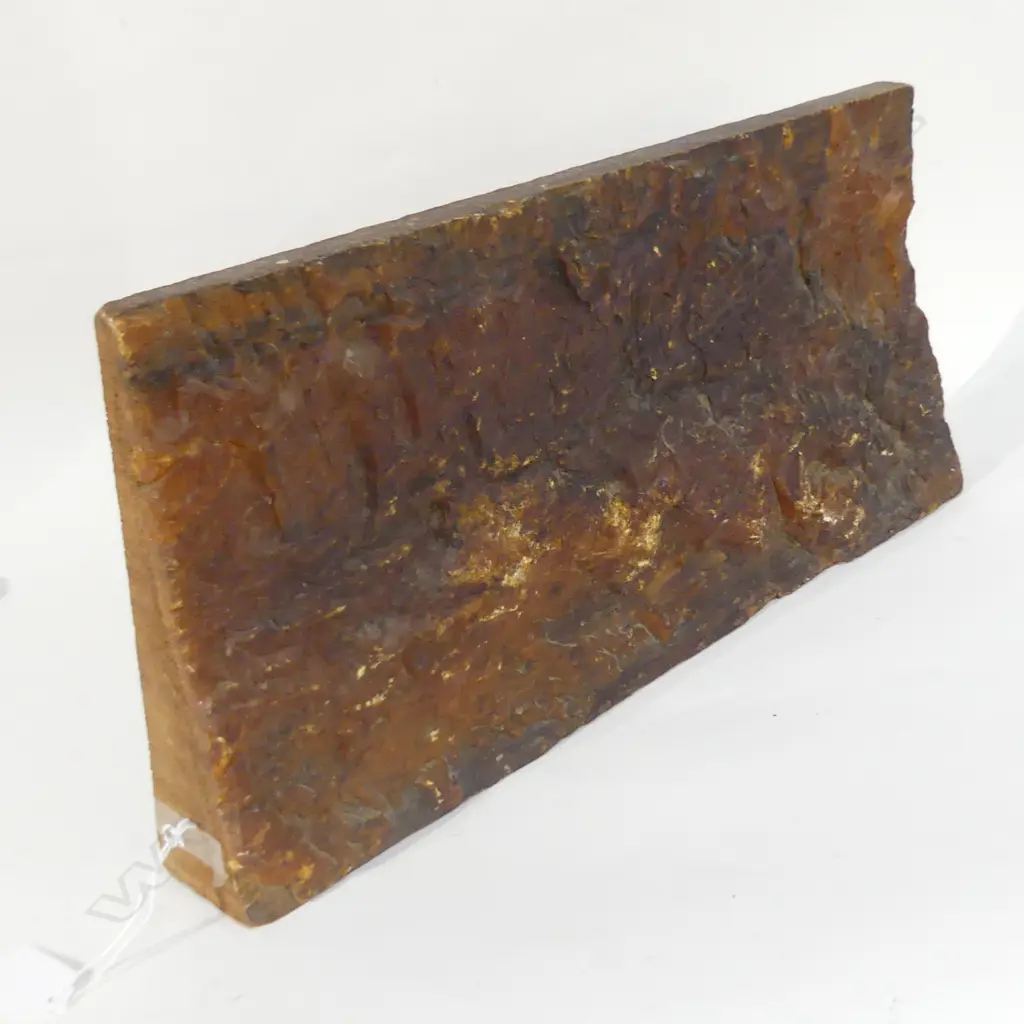 LG KAURI TREE PLANK WITH KAURI GUM  490 X 230MM Image 1++