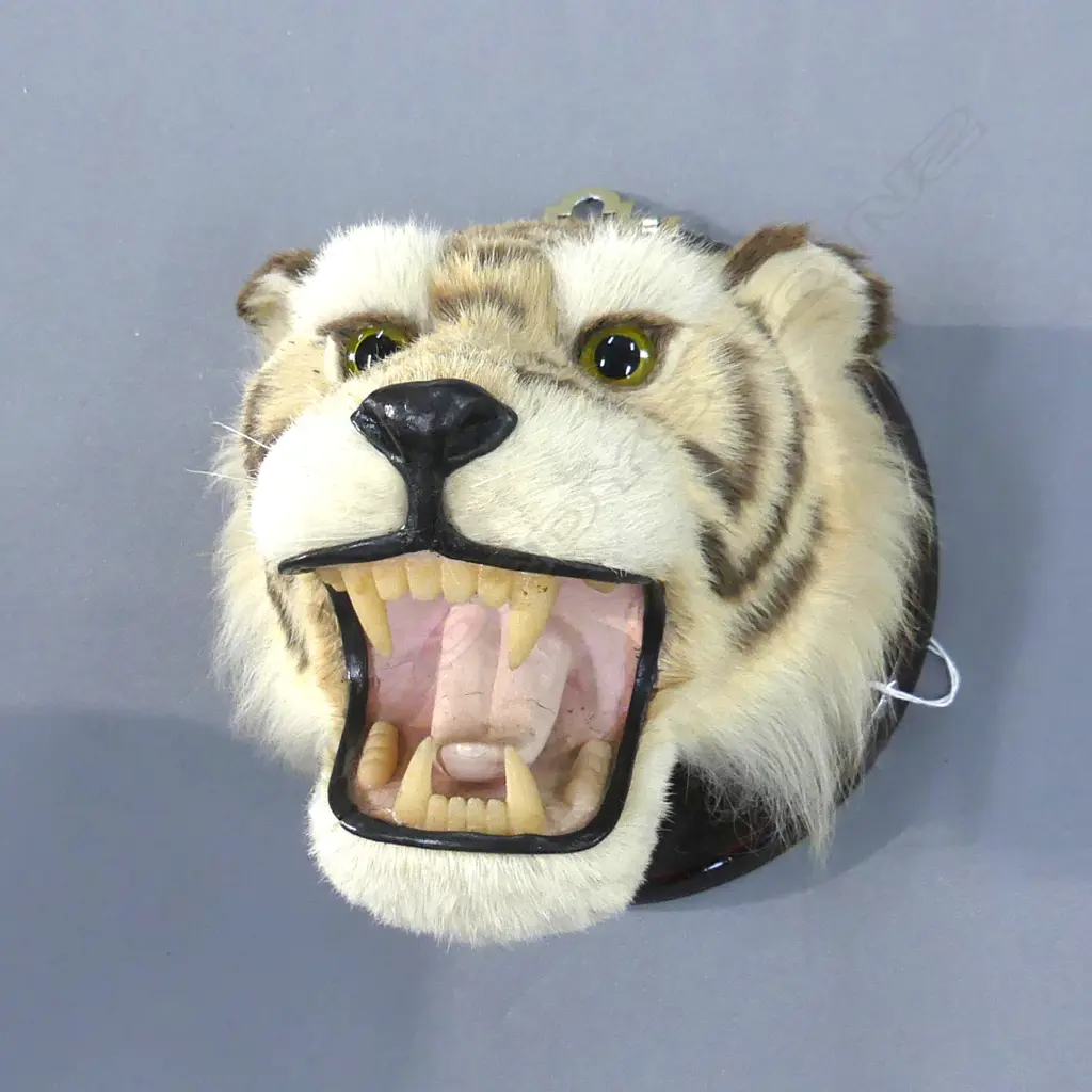 FAKE TIGER HEAD ON WOODEN BASE Image 1++