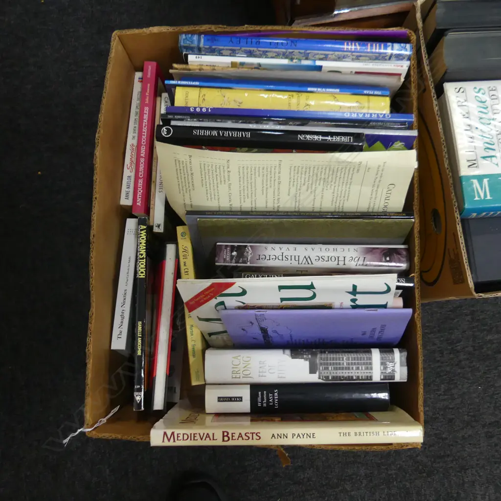 BOX LOT ASST. BOOKS; HISTORY, ART ETC Image 1++