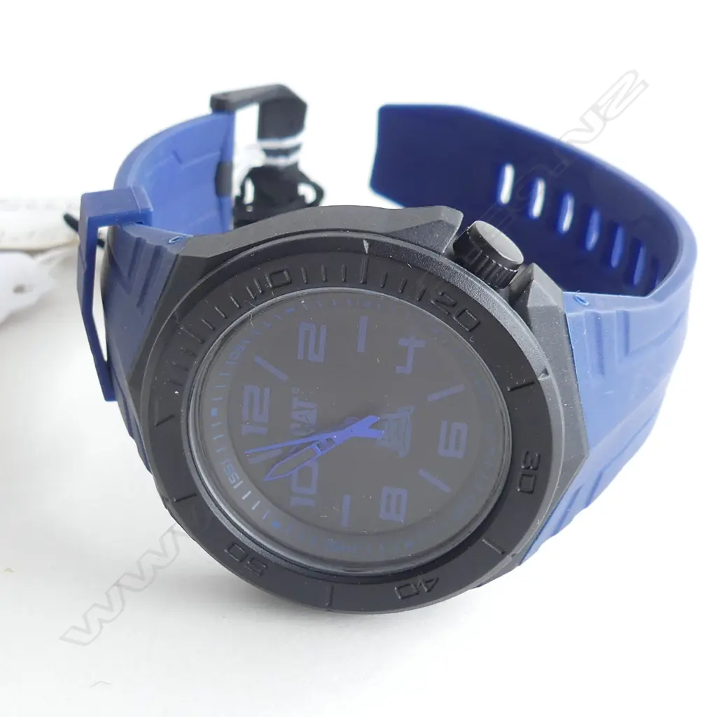 BLUE CAT WATCH  Image 1++