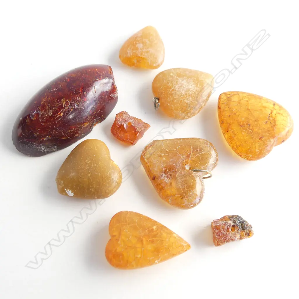 SM BAG ASST AMBER & KAURI GUM Image 1++