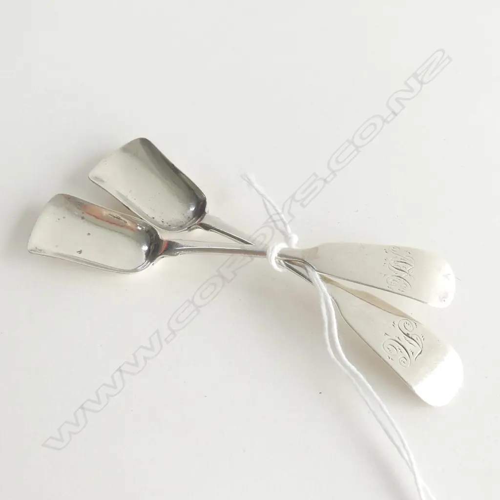 PAIR OF SALT SHOVELS, IRISH, WILLIAM CUMMINS, DUBLIN, 1821  Image 1++