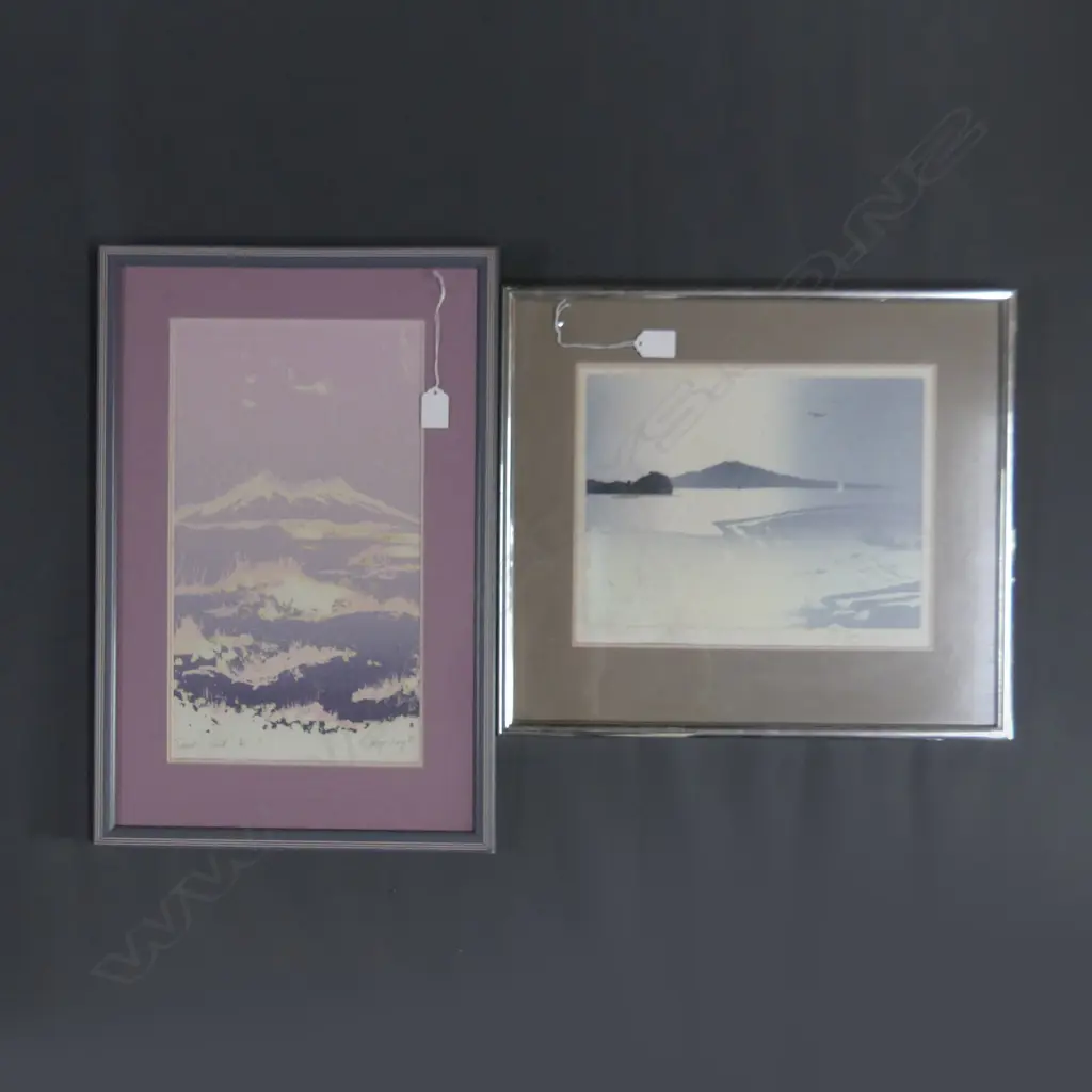 2 NUMBERED PRINTS BY TERRY ROUS RANGITOTO & RUAPEHU 480 BY 410MM Image 1++