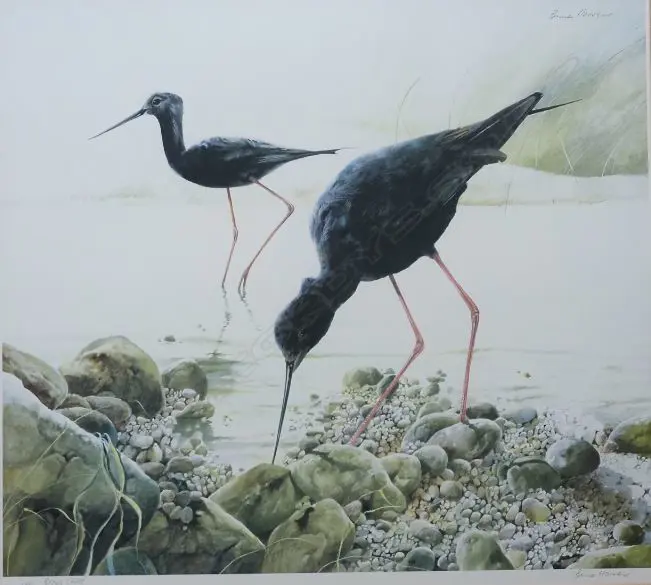HARVEY, Bruce (NZ 1931-), Black Stilts, Screenprint Ltd Ed 40/500, signed, 450mm x 510mm Image 1++