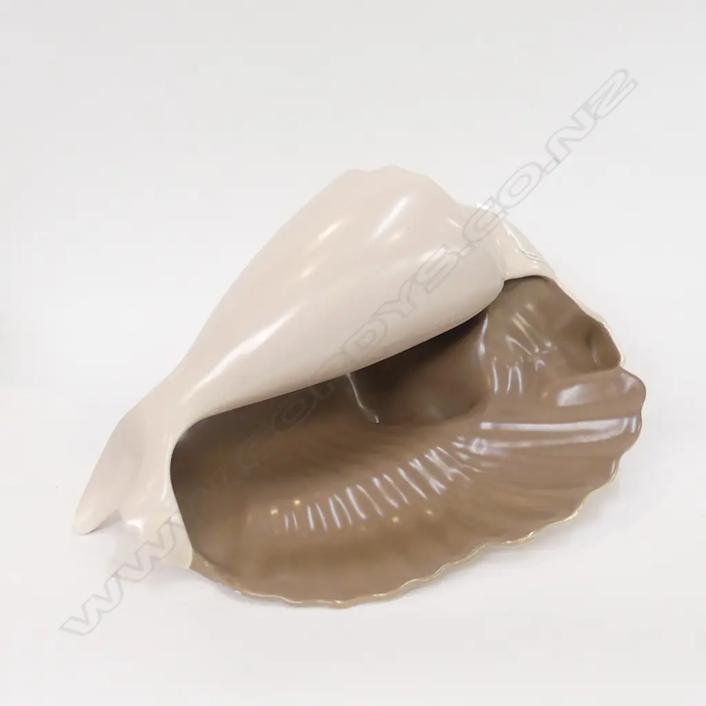 POOLE TWINTONE SHELL (C54) L 280MM, Image 1++