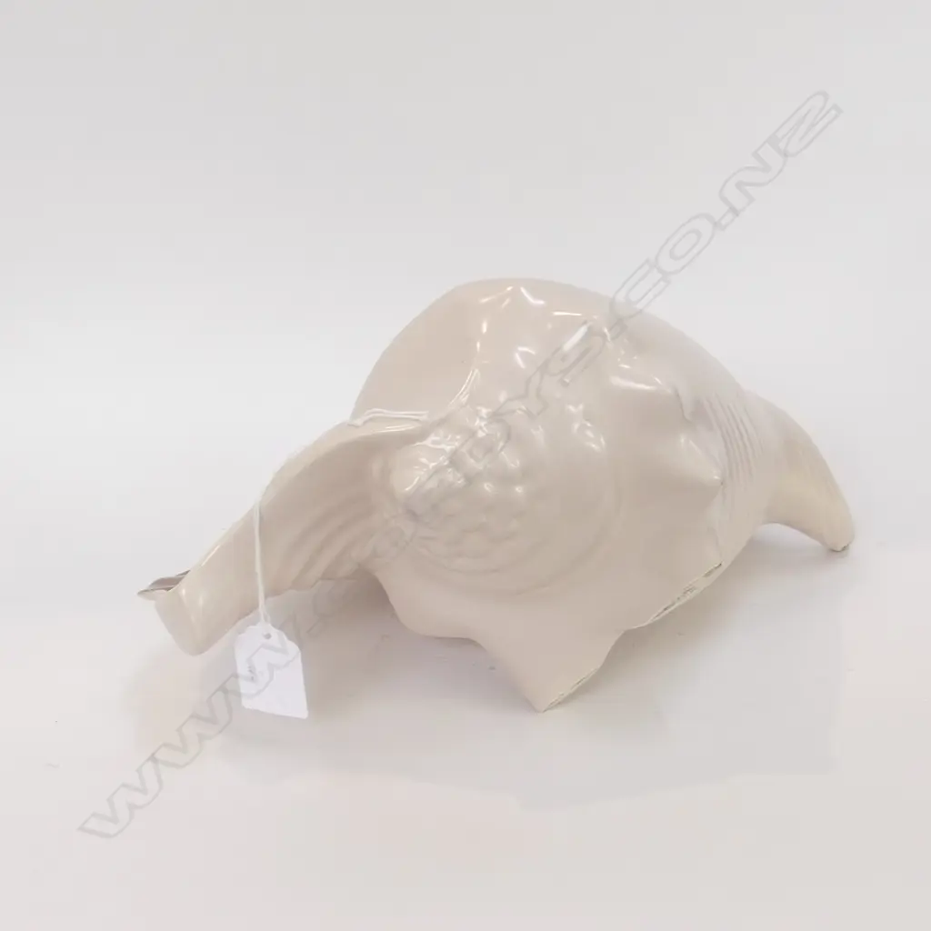 POOLE TWINTONE SHELL (C54) L 280MM, Image 1++